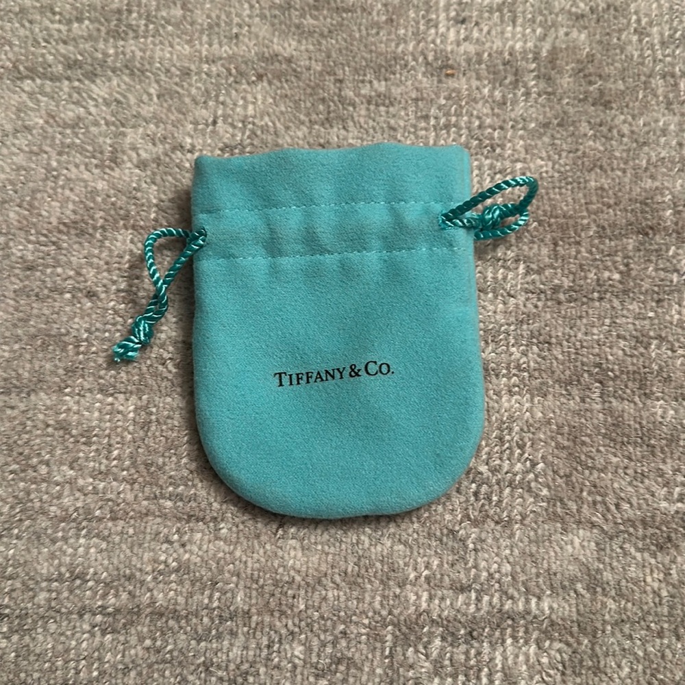 Authentic Tiffany & Co. pouch